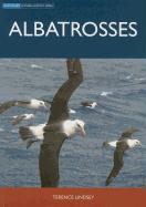 Albatrosses