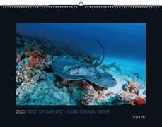 Best of Nature 2023 - Lebensraum Meer