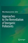 Approaches to the Remediation of Inorganic Pollutants