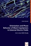 Orientation and Phase Behavior of Block Copolymers in External Electric Fields