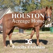 Houston Acreage Home