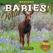 2023 MT Wild Babies Mini Calendar