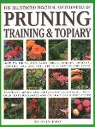 The Pruning, Training & Topiary, Illustrated Practical Encyclopedia of