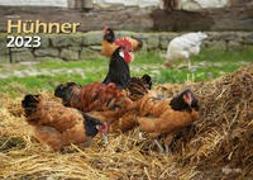 Hühner 2023 Bildkalender A3 quer - Oliver Giel