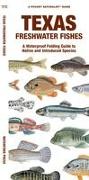 Texas Freshwater Fishes: A Waterproof Folding Guide to Native and Introduced Species