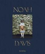 Noah Davis: In Detail