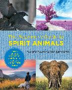 The Beginner's Guide to Spirit Animals