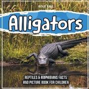 Alligators: Reptiles & Amphibians Facts And Picture Book For Children