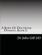 A Body Of Doctrianal Divinity Book 1