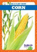 Corn