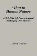 What Is Human Nature: A Brief Social-Psychological History of Our Species