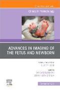 Advances in Neuroimaging of the Fetus and Newborn, an Issue of Clinics in Perinatology