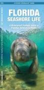 Florida Seashore Life: A Waterproof Folding Guide to Familiar Animals & Plants