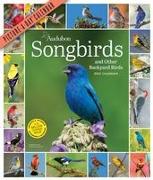Audubon Songbirds and Other Backyard Birds Picture-A-Day Wall Calendar 2023