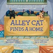Alley Cat Finds A Home