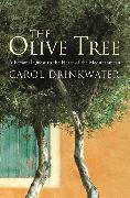 The Olive Tree: A Personal Journey Through Mediterranean Olive Groves