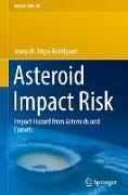 Asteroid Impact Risk