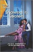 Snowed in Secrets: A Mistaken Identity Workplace Romance