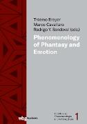 Phenomenology of Phantasy and Emotions