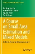 A Course on Small Area Estimation and Mixed Models