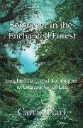 Sojourner in the Enchanted Forest: Insights, Tools and Techniques to Create a Joyful Life