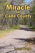 Miracle in Cade County