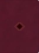 CSB Day-By-Day Chronological Bible, Burgundy Leathertouch