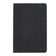 CSB Large Print Thinline Bible, Black Leathertouch