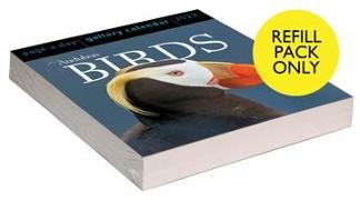 Audubon Birds Page-A-Day Gallery Calendar Refill Pack 2023