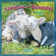 LAMBIES IN JAMMIES GOATS IN COATS