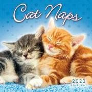 CAT NAPS