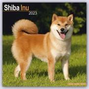 Shiba Inu 2023 Wall Calendar