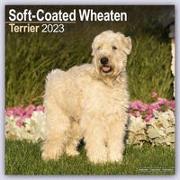 Softcoat Wheaten Terrier 2023 Wall Calendar