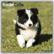 Border Collie Puppies 2023 Wall Calendar