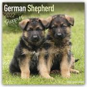 German Shepherd Puppies 2023 Wall Calendar