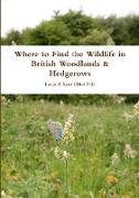 Where to Find the Wildlife in British Woodlands & Hedgerows