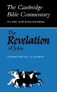 Revelation to John