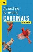 Attracting & Feeding Cardinals