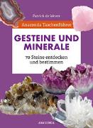 Anaconda Taschenführer Gesteine und Minerale. 70 Steine entdecken und bestimmen