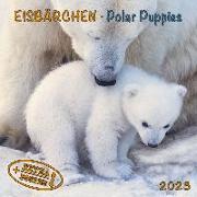 Polar Bears/Eisbärchen 2023