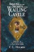 Amalina and the Secrets of the Wailing Castle