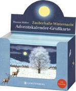 VE Zauberhafte Winternacht Adventskalender-Grußkarten 20 Ex