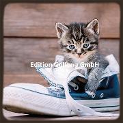 Postkarte. Katze in einemSchuh /