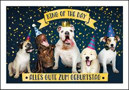 Doppelkarte. King of the day (Hund), Shutterstock.co