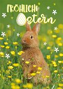 Postkarte. Fröhliche Ostern (Hase), mauritius imag