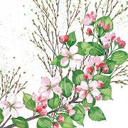 Postkarte. Apfelblüten