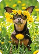 Postkarte. Hund mit Blütenkranz, AdobeStock