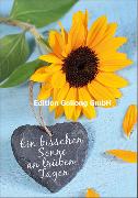 Ein bisschen Sonnenschein (Sonnenblume)