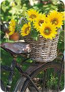 Postkarte.Sonnenblumen und Fahrrad