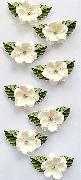 White flowers with diamond